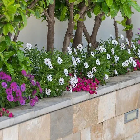 Steffi * 바스카보다