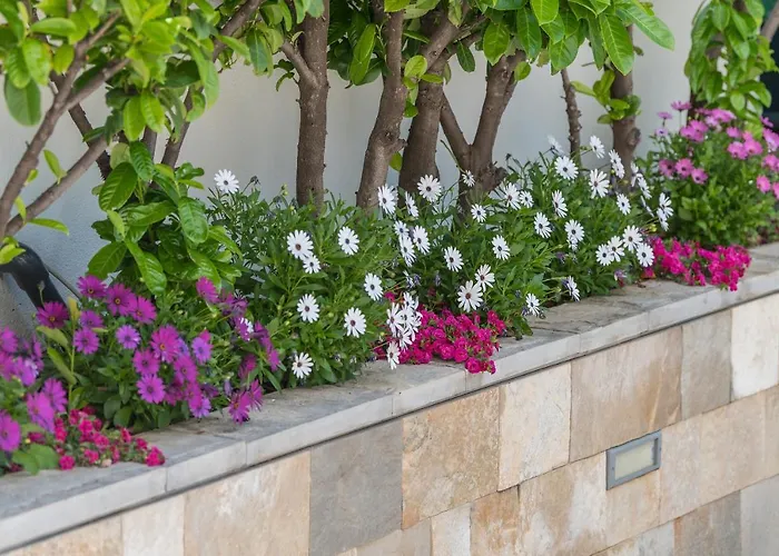 Steffi * Baška Voda